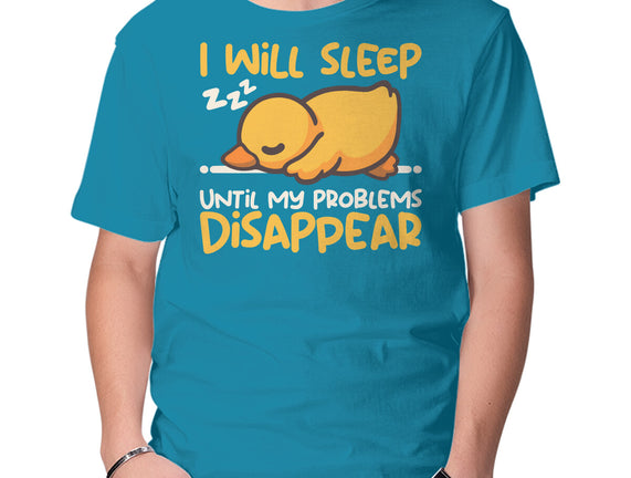 Sleeping Duck With Problems