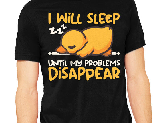 Sleeping Duck With Problems