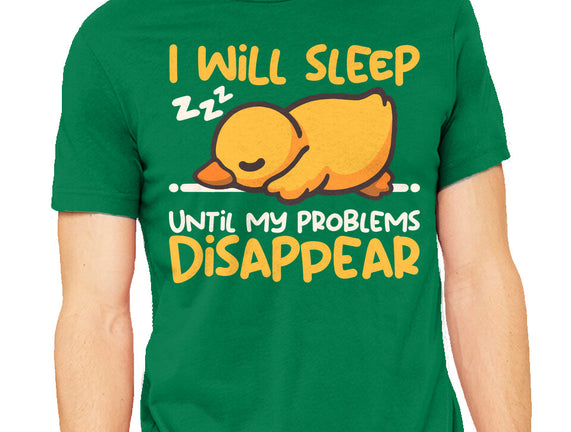 Sleeping Duck With Problems