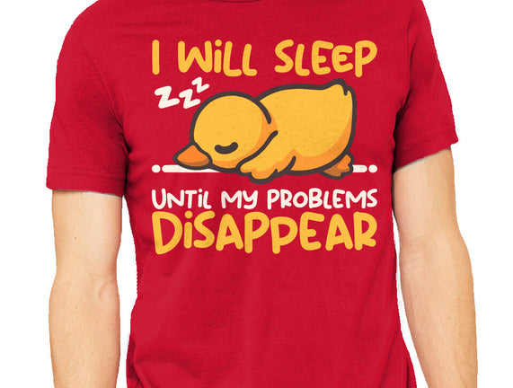 Sleeping Duck With Problems