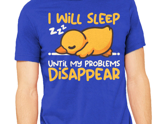 Sleeping Duck With Problems