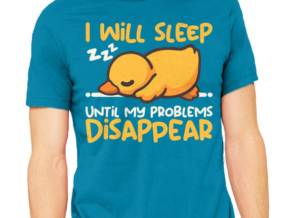 Sleeping Duck With Problems