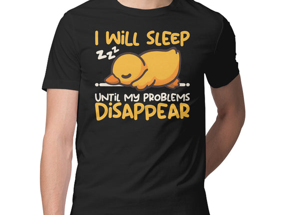 Sleeping Duck With Problems