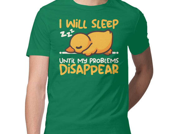 Sleeping Duck With Problems