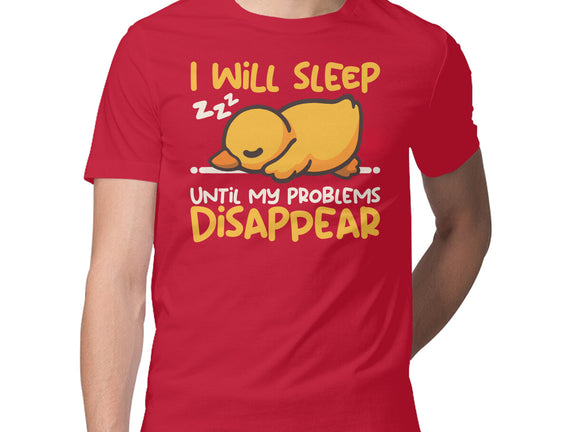 Sleeping Duck With Problems