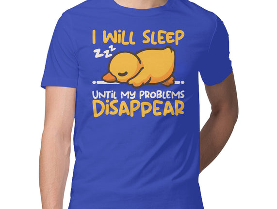 Sleeping Duck With Problems
