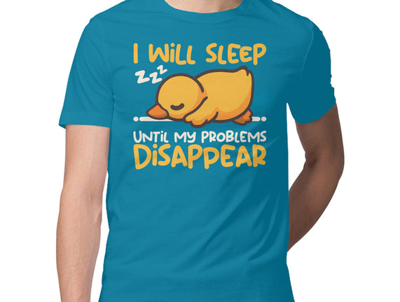Sleeping Duck With Problems