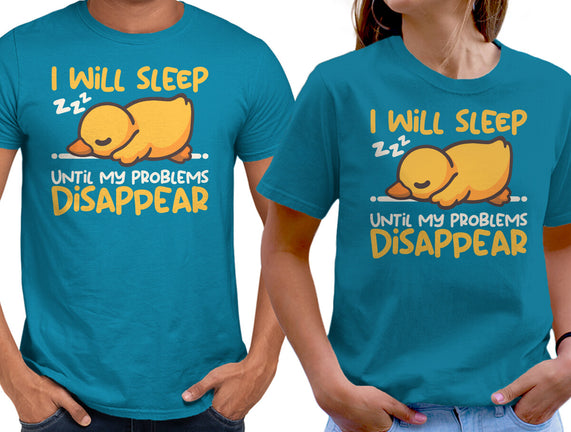 Sleeping Duck With Problems