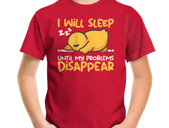 Sleeping Duck With Problems