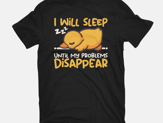 Sleeping Duck With Problems