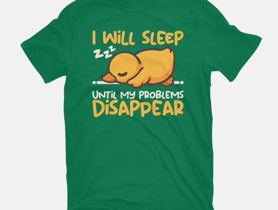 Sleeping Duck With Problems