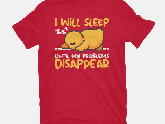Sleeping Duck With Problems