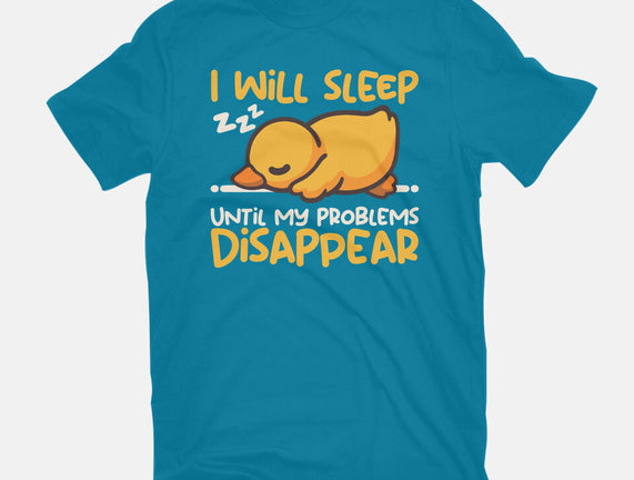 Sleeping Duck With Problems