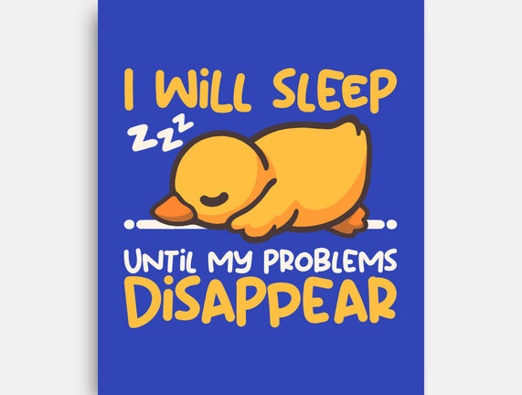 Sleeping Duck With Problems