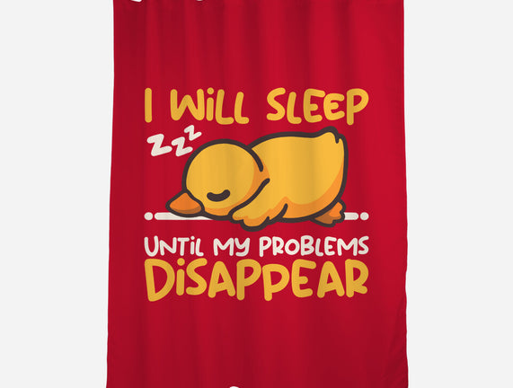 Sleeping Duck With Problems