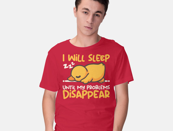 Sleeping Duck With Problems