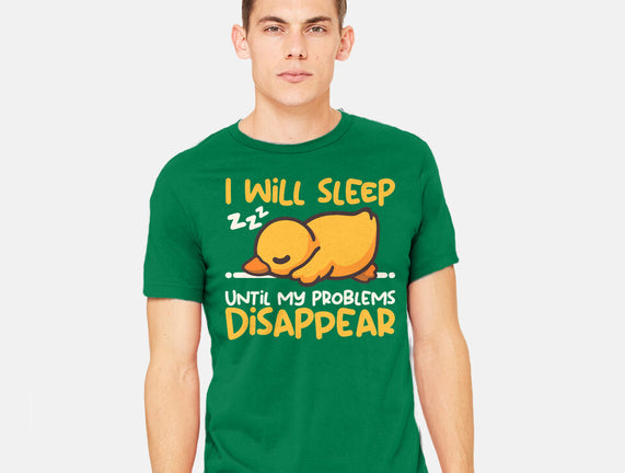 Sleeping Duck With Problems