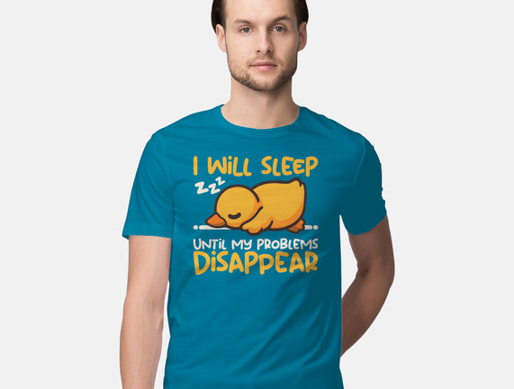 Sleeping Duck With Problems