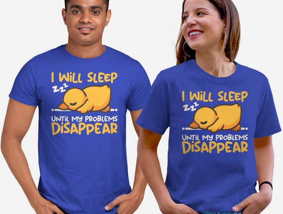 Sleeping Duck With Problems