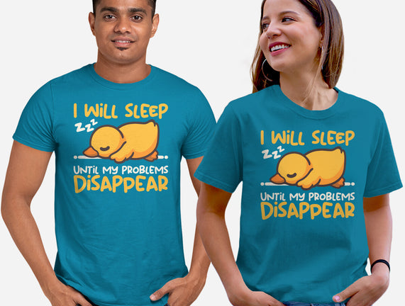 Sleeping Duck With Problems