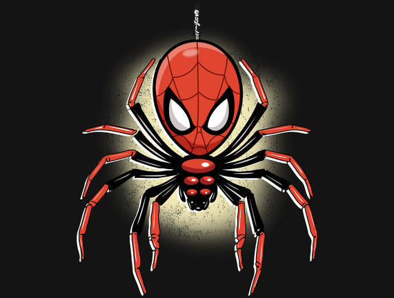 Webslinger From Queens