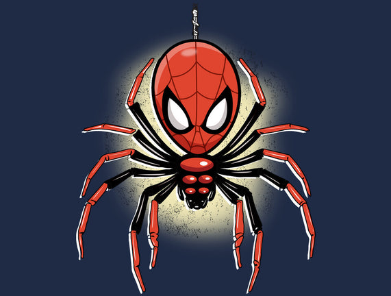 Webslinger From Queens
