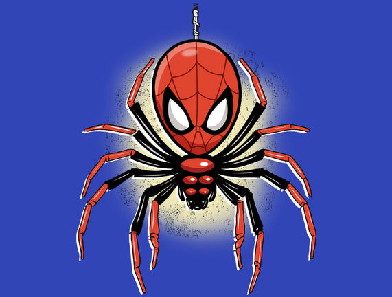 Webslinger From Queens