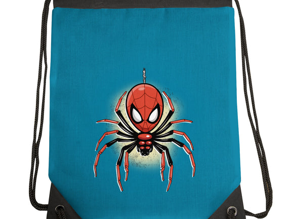 Webslinger From Queens