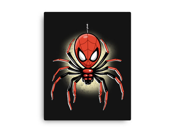 Webslinger From Queens