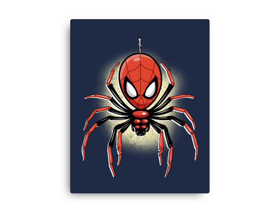 Webslinger From Queens