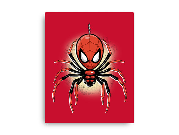 Webslinger From Queens