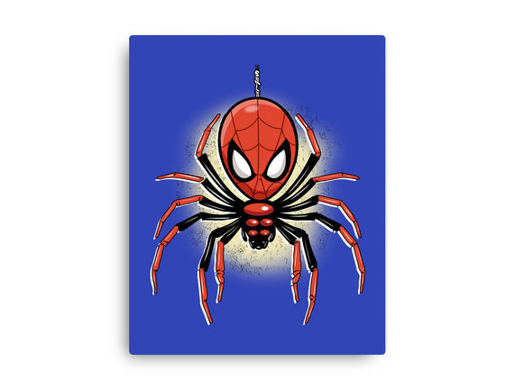 Webslinger From Queens