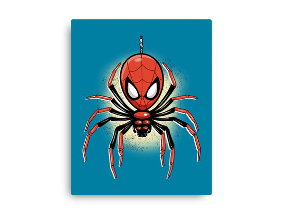 Webslinger From Queens