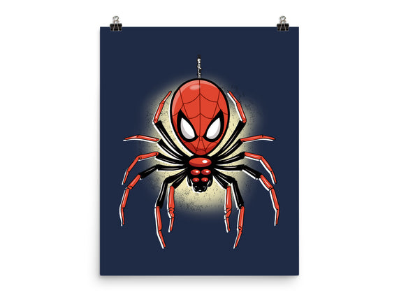 Webslinger From Queens