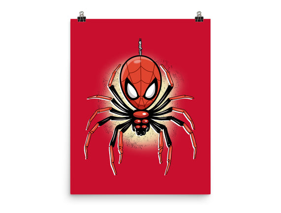 Webslinger From Queens