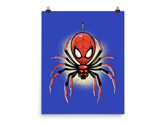 Webslinger From Queens