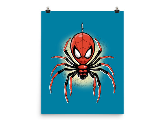 Webslinger From Queens