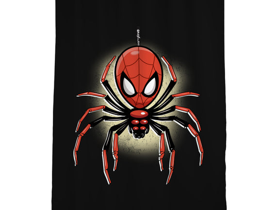 Webslinger From Queens