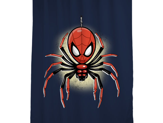 Webslinger From Queens