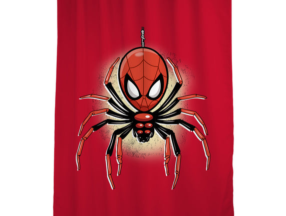 Webslinger From Queens