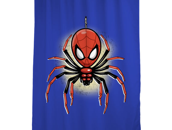 Webslinger From Queens