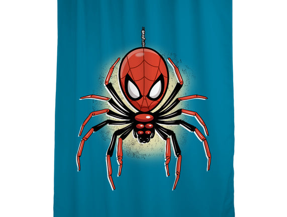 Webslinger From Queens