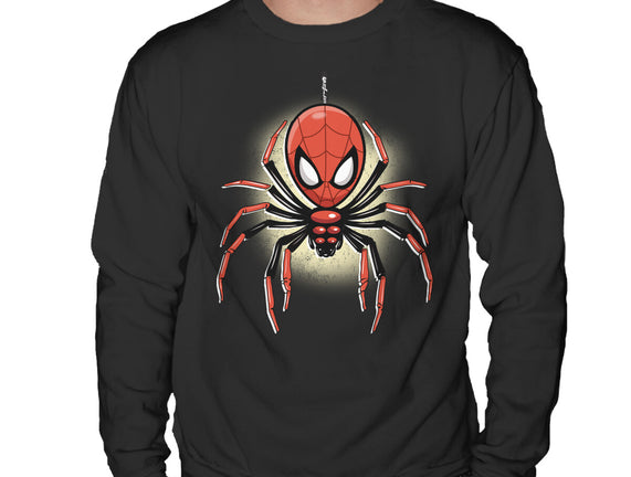 Webslinger From Queens