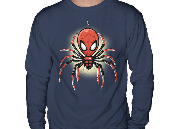 Webslinger From Queens
