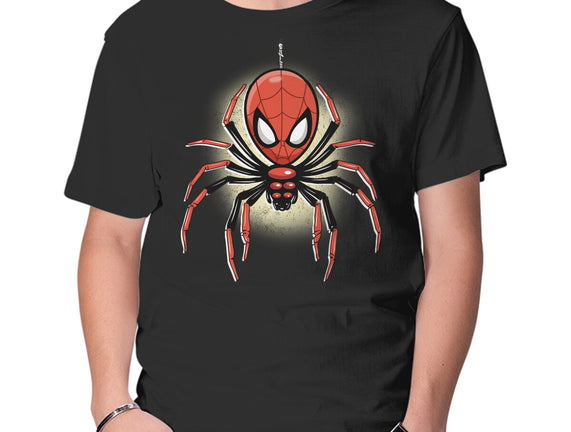 Webslinger From Queens