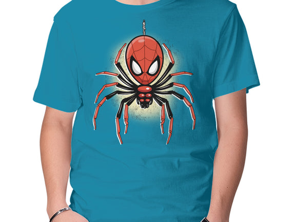Webslinger From Queens