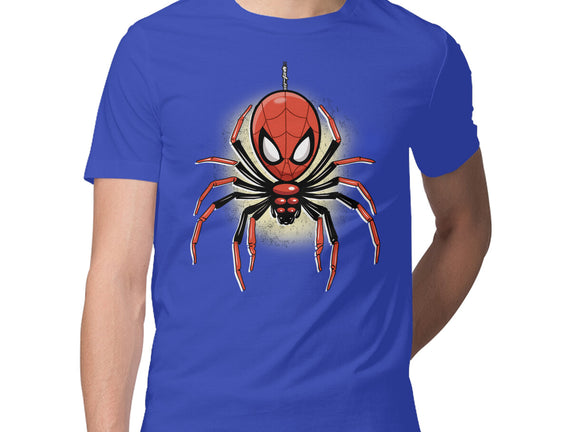 Webslinger From Queens