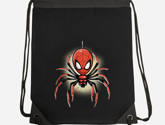 Webslinger From Queens