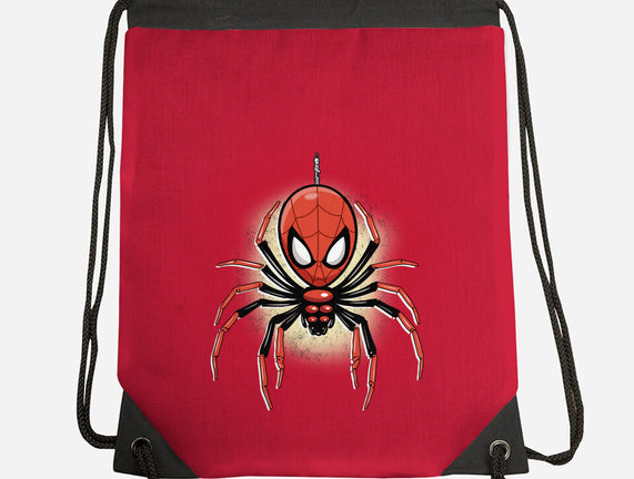 Webslinger From Queens