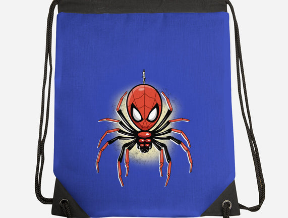 Webslinger From Queens
